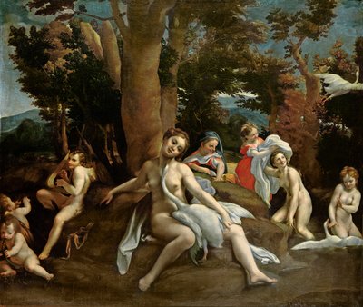 Leda and the Swan by Antonio da Correggio